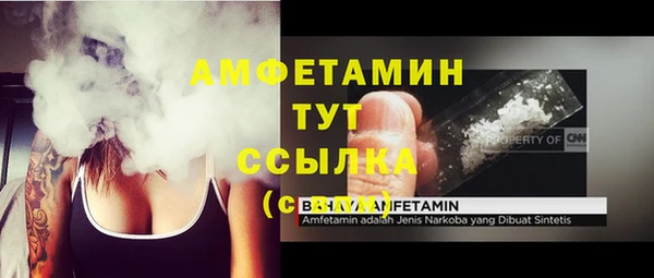 стаф Аркадак