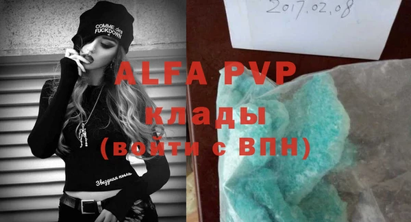 стаф Аркадак